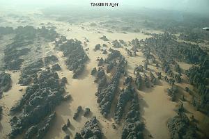 Algerie mars 2010_000021